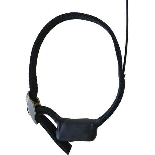 TW-x Collars - Product Image