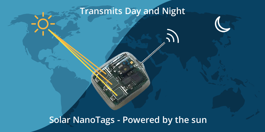 Solar NanoTags